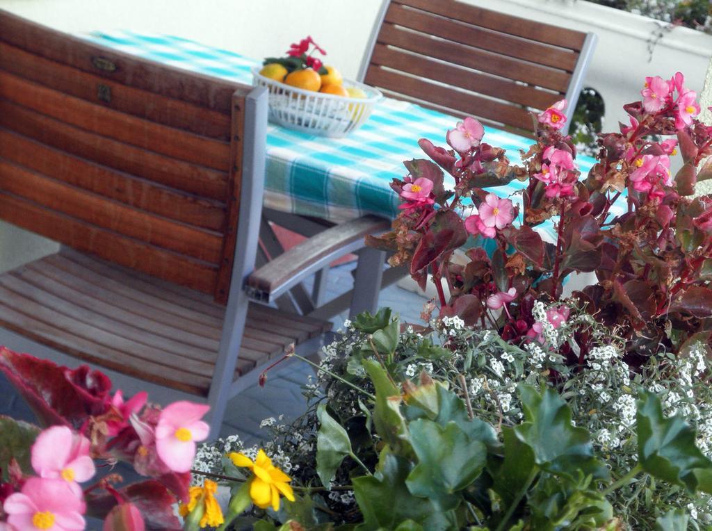 Apartmani Delfin Grebaštica Buitenkant foto